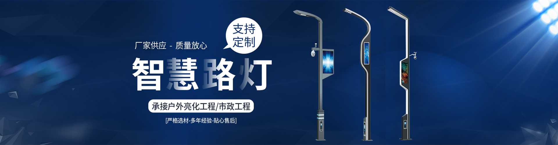 汕尾市太阳能路灯定制厂家